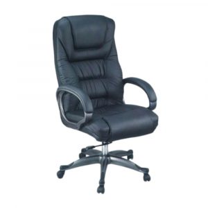Director Series Office Chairs 1