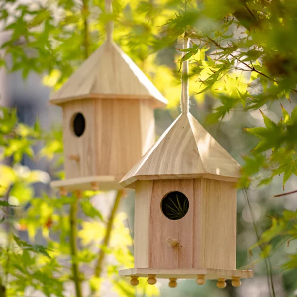 Nests - Image 3